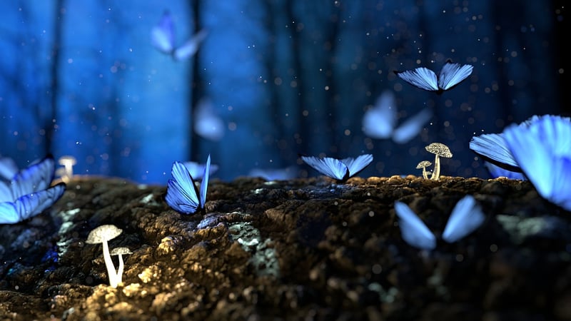 Enchanted Décor